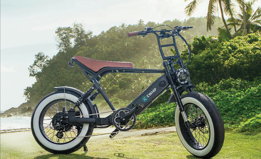 EWHIP THE BOOM – Premium E-Bike Matt Black - EWHIP