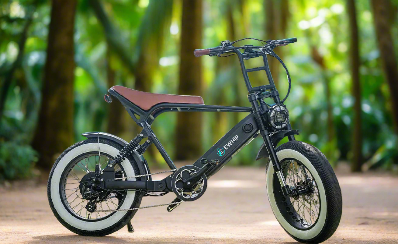 EWHIP The Boom Premium Electric E-Bike in Matt Black - EWHIP
