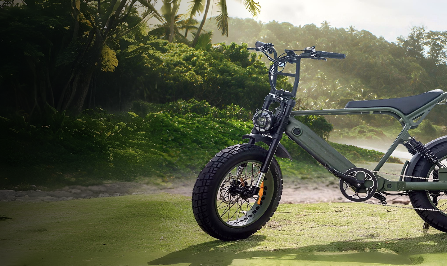 EWHIP THE BOOM Electric E-Bike Olive Green - EWHIP