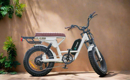 EWHIP THE CAPTAIN – Premium E-Bike White - EWHIP