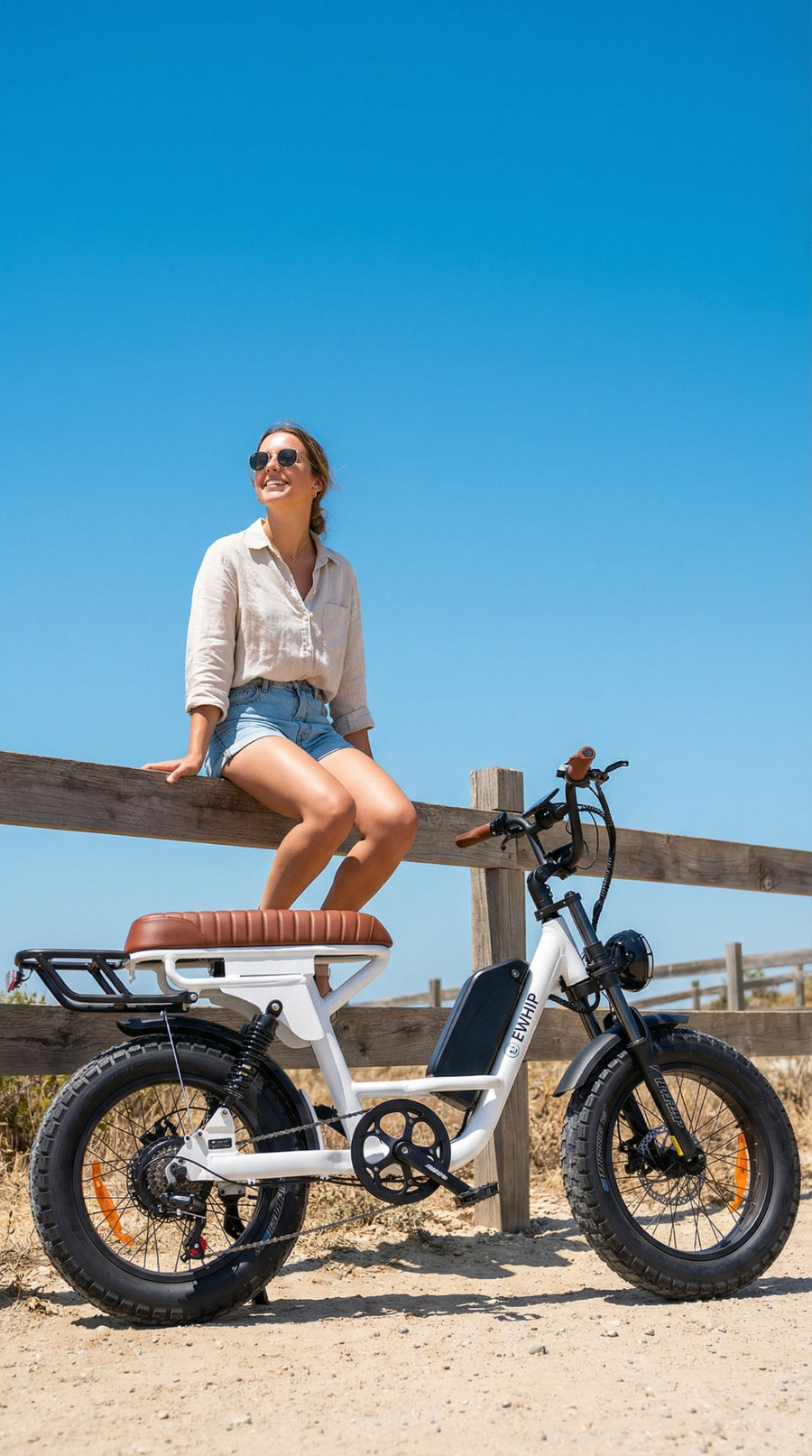 The Captain 500W | Step-Through Off-Road Cruiser