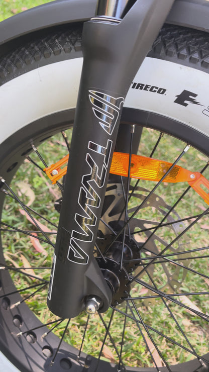 EWHIP THE BOOM – Premium E-Bike Matt Black