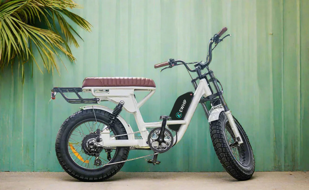 Side view profile of The Captain ebike on pastel green background, featuring 48V Samsung battery and Bafang motor